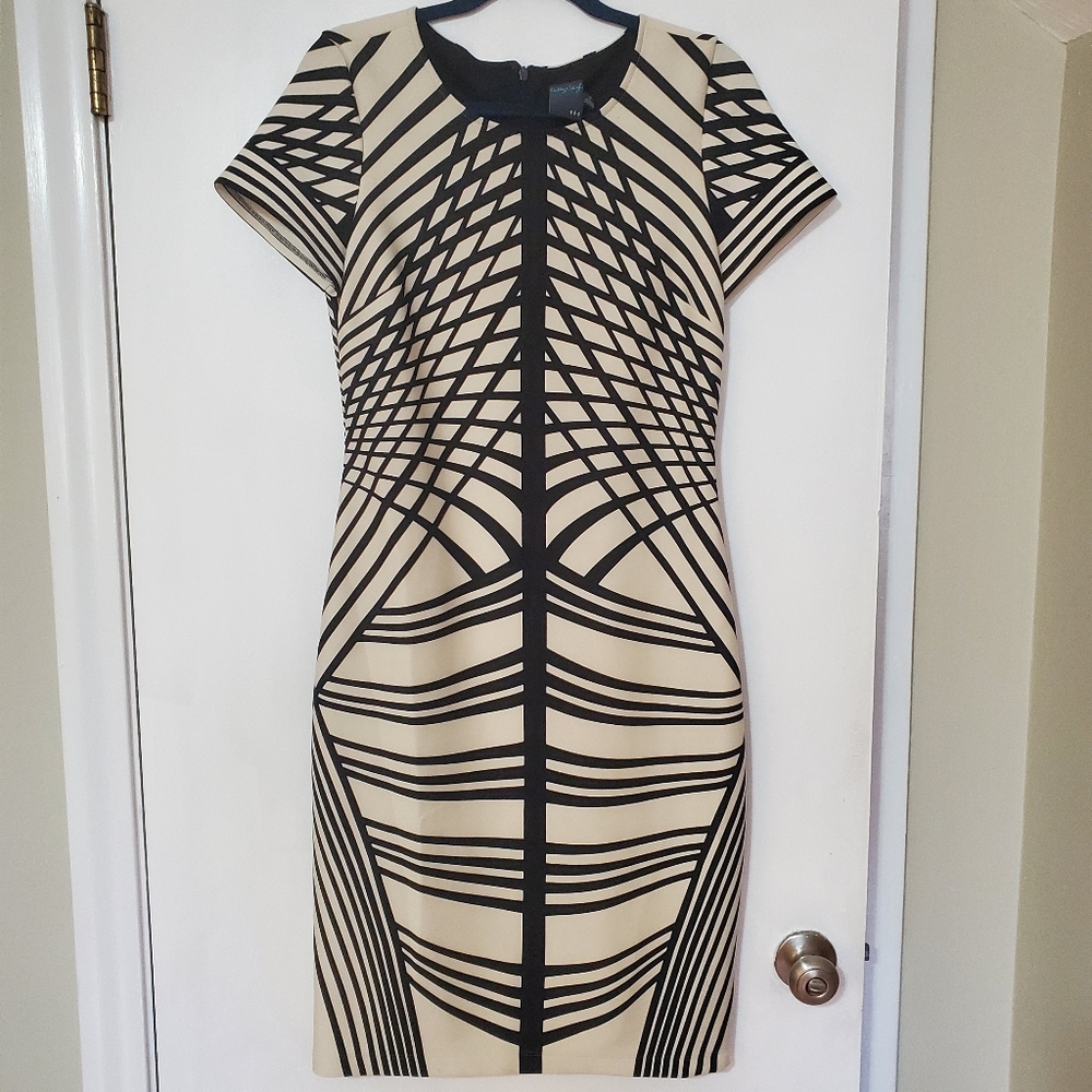 Gabby Skye Slimming Illusion Dress